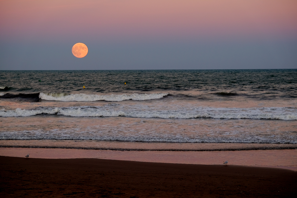 Pun Mesec u Jarcu 10. jula donosi snažne promene: Ova 4 znaka ulaze u najsrećniji period leta