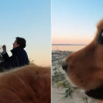 "Ovo je kao scena iz filma": Pas je snimio prosidbu svojih vlasnika i slađe nije moglo da bude