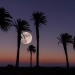 Pun mesec u Vodoliji stiže 9.8. i donosi promene za sve znakove: Lunarni vrhunac osvetljava odnose, ciljeve i lične istine