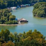 Ada Ciganlija nije samo raj za kupanje i roštilj: Beogradsko more krije retko čudo prirode koje je na pragu izumiranja