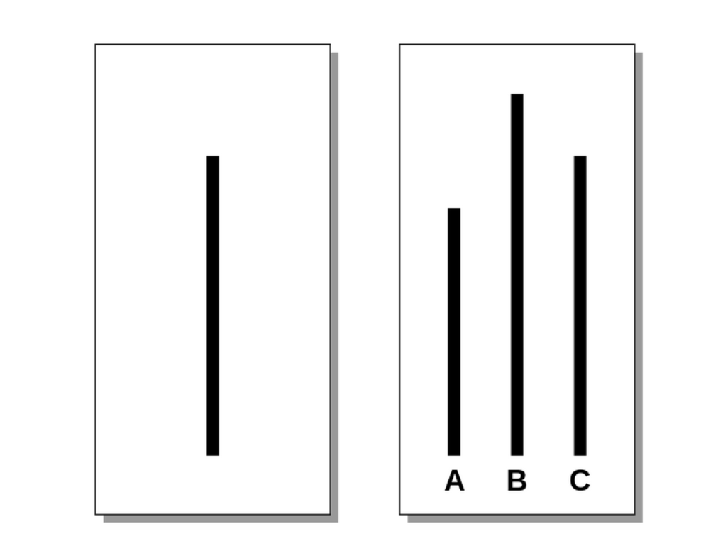 Test koji je još 1951. dokazao da su ljudi povodljivi: Probajte da ga rešite, ali budite iskreni