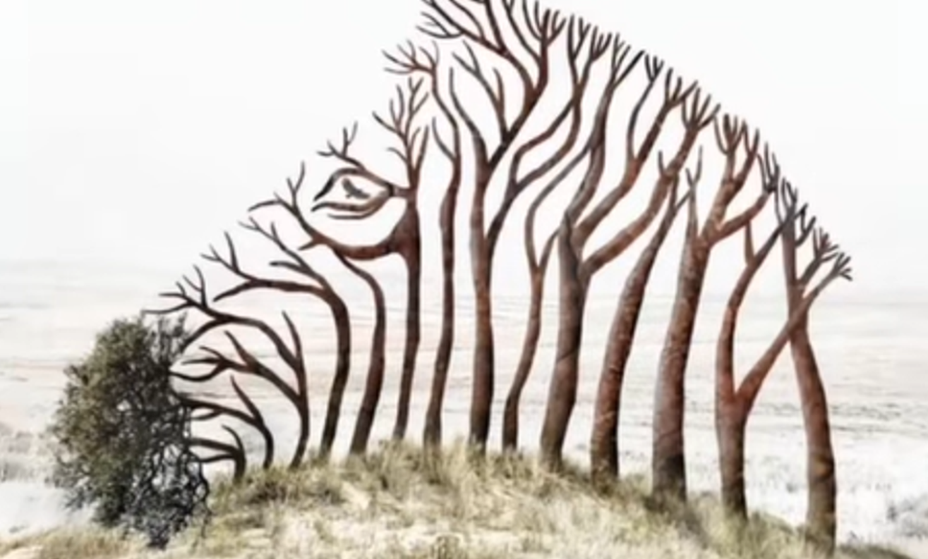 Ono što prvo ugledate na ovoj optičkoj iluziji otkriva da li ste snažna ili osetljiva osoba