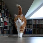 Preselio se u novu kuću i pronašao sobu koju niko nije spominjao: Izgleda kao da ovaj čovek živi u horor filmu