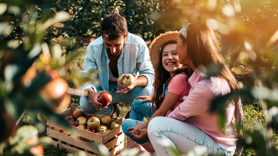 Šta se dešava sa telom kada jedete jabuku svaki dan