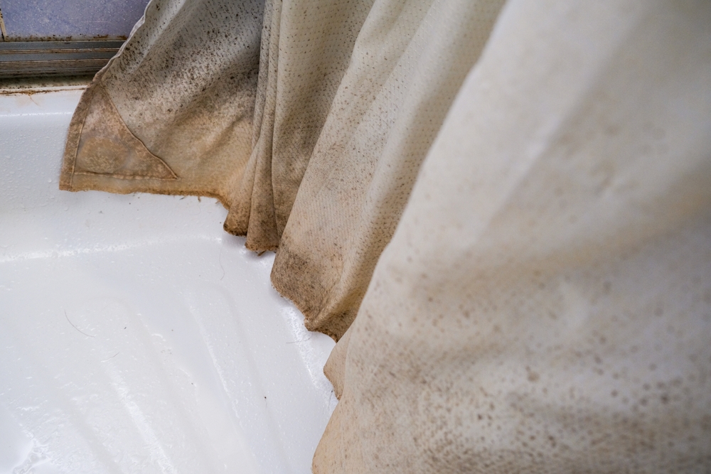 Naizgled bezazleni predmet u kupatilu može da bude skrivena opasnost po zdravlje: Izbacite je i zamenite sigurnijom opcijom