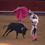 Pre pola veka održana je korida na Tašmajdanu: Beograđani su navijali za bika, pa su na nesvakidašnji način proslavili u Skadarliji