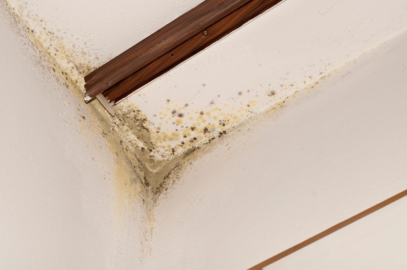 Tajna funkcija na klima-uređaju koja štedi struju i rešava napast koja ovih dana napada svako domaćinstvo