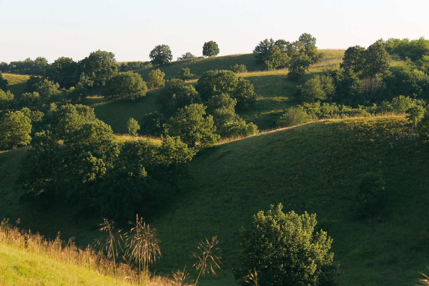 Vikend među peščanim dinama, bez da platite bogatstvo: Na 70 kilometara od Beograda čeka vas rezervat prirode