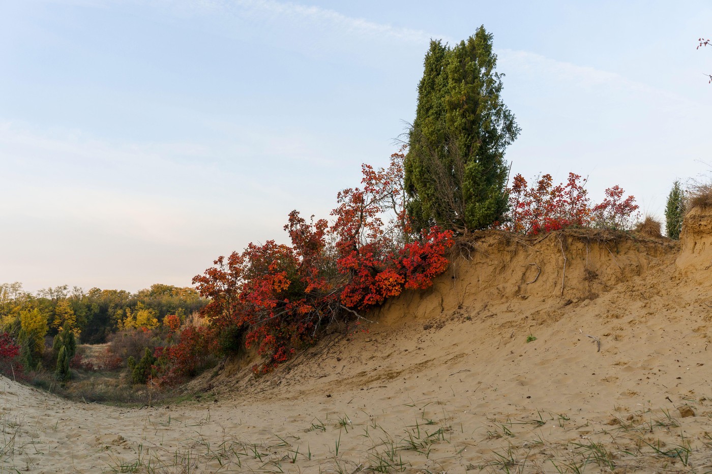 Vikend među peščanim dinama, bez da platite bogatstvo: Na 70 kilometara od Beograda čeka vas rezervat prirode