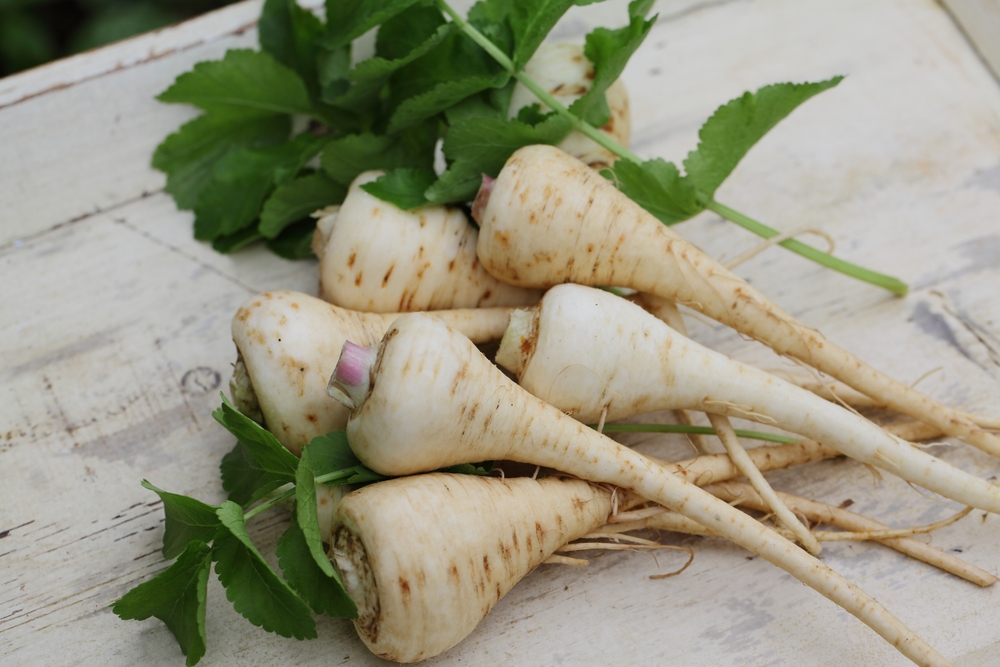 Ima duplo više vlakana od šargarepe i savršena je zamena za pomfrit: Ovo će postati vaš omiljeni zimski prilog