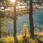 Jesenji beg iz grada: Pešačke staze i prelepi vidikovci samo sat i po od Beograda