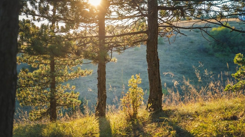 Jesenji beg iz grada: Pešačke staze i prelepi vidikovci samo sat i po od Beograda