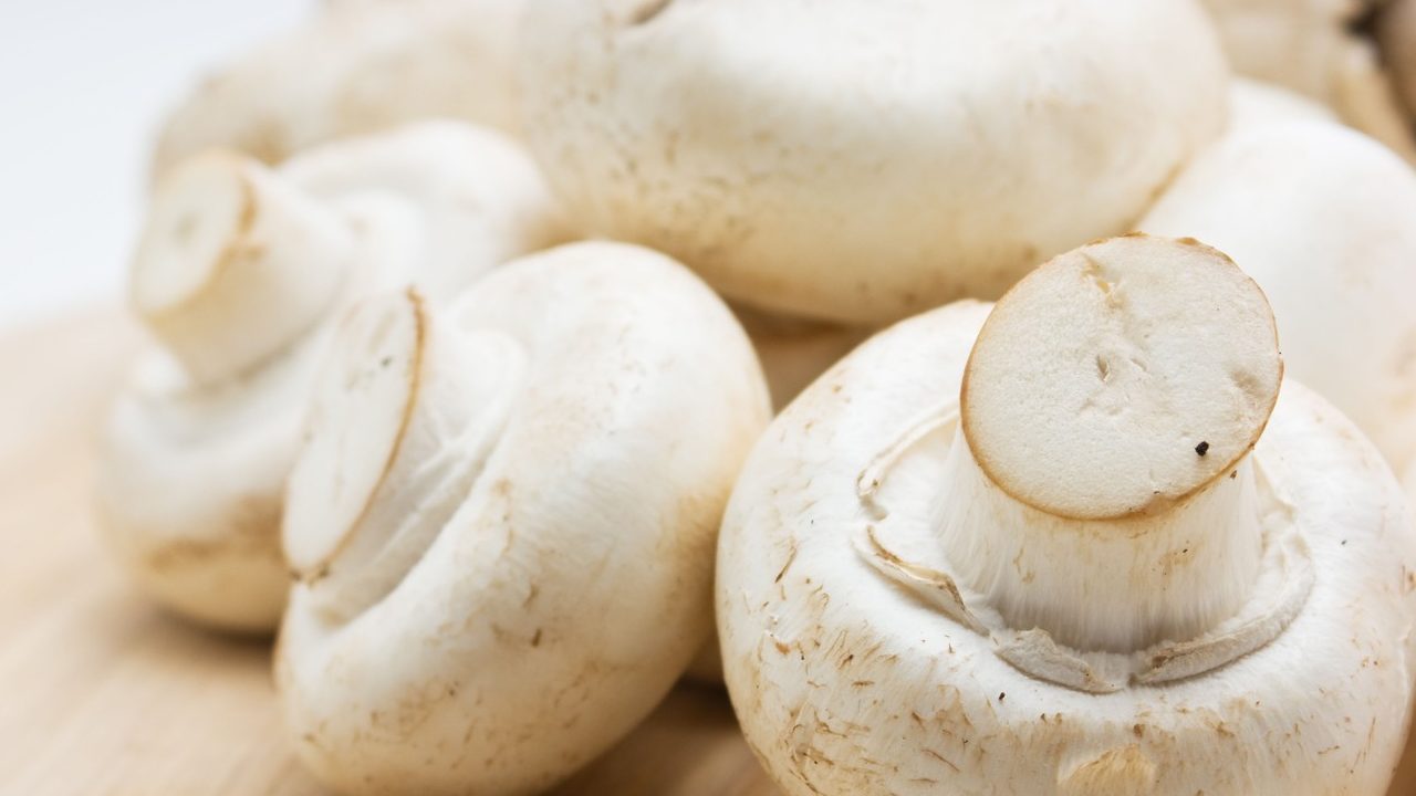 Koliko dugo mogu da stoje pečurke u frižideru? Evo šta je rizično