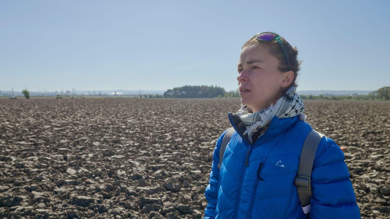 Sve je više samaca i to ozbiljno menja svet