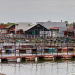 Nekada “ostrvo smrti”, onda mesto poznato po zloglasnom zatvoru, a danas oaza mira Beograđana