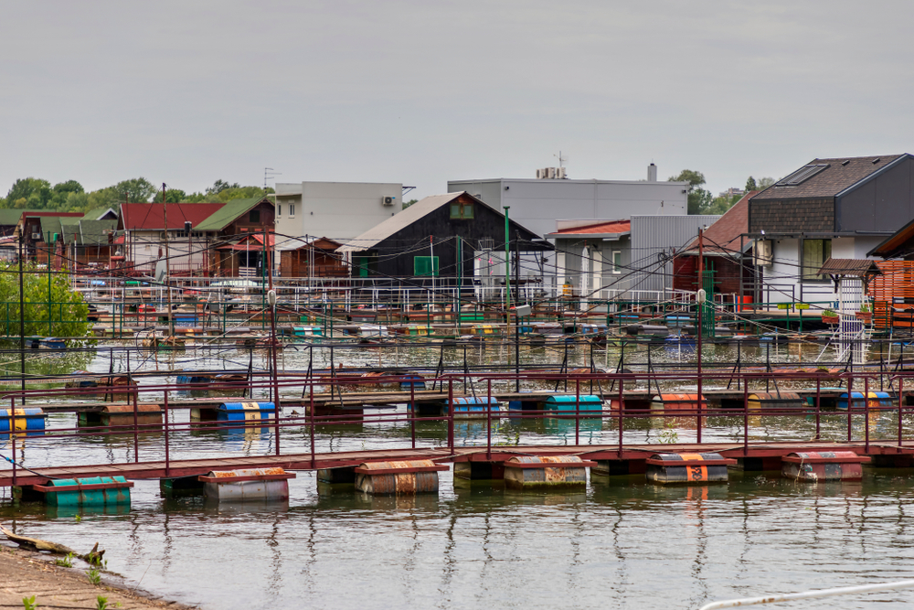 Nekada “ostrvo smrti”, onda mesto poznato po zloglasnom zatvoru, a danas oaza mira Beograđana 9 Nekada “ostrvo smrti”, onda mesto poznato po zloglasnom zatvoru, a danas oaza mira Beograđana