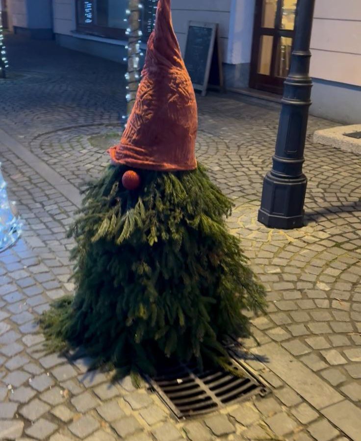 Beograd je dobio svoju jelku, lepa je, ali nešto joj fali