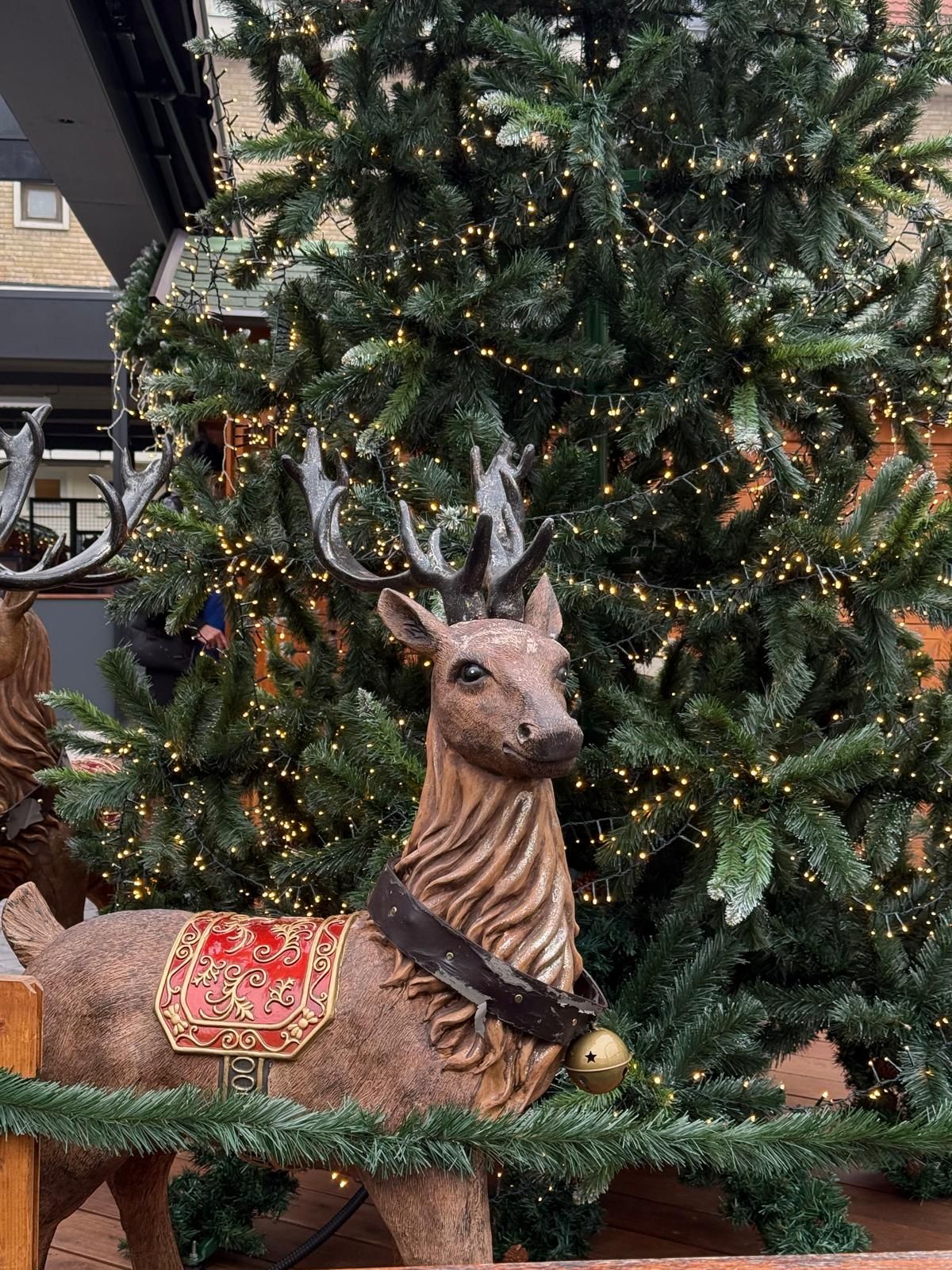 Prošetali smo kroz Maribor, koji je prava bajka: Klizalište, svetlucavi trg i račun za kafu koji se ne zaboravlja