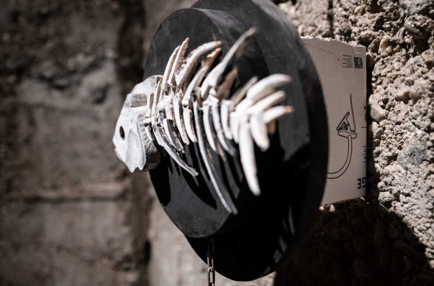 Apciklaža kao odgovor na potrošnju: održana izložba “Transparentno: Ne kupuj – stvaraj!” - Mladi Istraživači Srbije