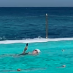 "Našoj vrsti nema pomoći": Snimka žene u bazenu usijao mreže