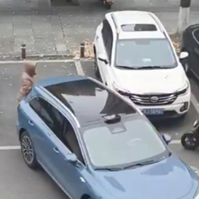 Žena čuvala parking za muža. Vozač je genijalno nadmudrio, pogledajte parking