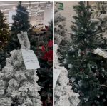 U prodavnici u centru Beograda pronašli smo jelku od 63.000 dinara: Tu je i roze varijanta, ali i one jeftinije