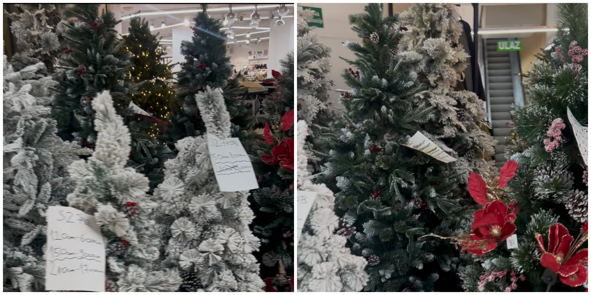 U prodavnici u centru Beograda pronašli smo jelku od 63.000 dinara: Tu je i roze varijanta, ali i one jeftinije