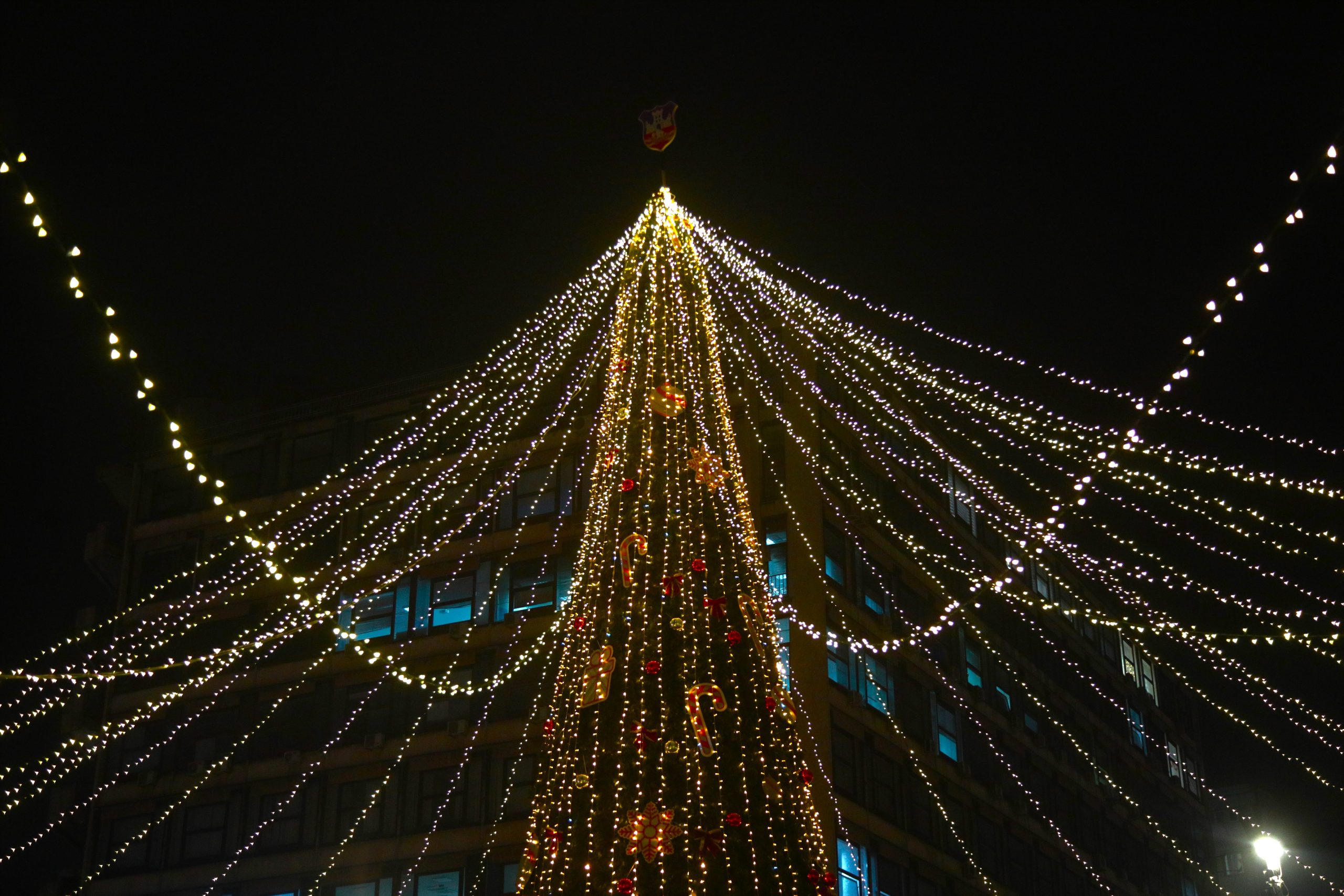 Beograd je dobio svoju jelku, lepa je, ali nešto joj fali