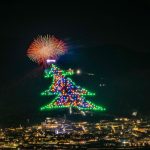 Velika kao 30 fudbalskih terena: Evo gde se nalazi najveća jelka na svetu