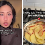 Izgleda da je generacija Z tek sada saznala za kompot i odjednom ceo internet je opsednut njime