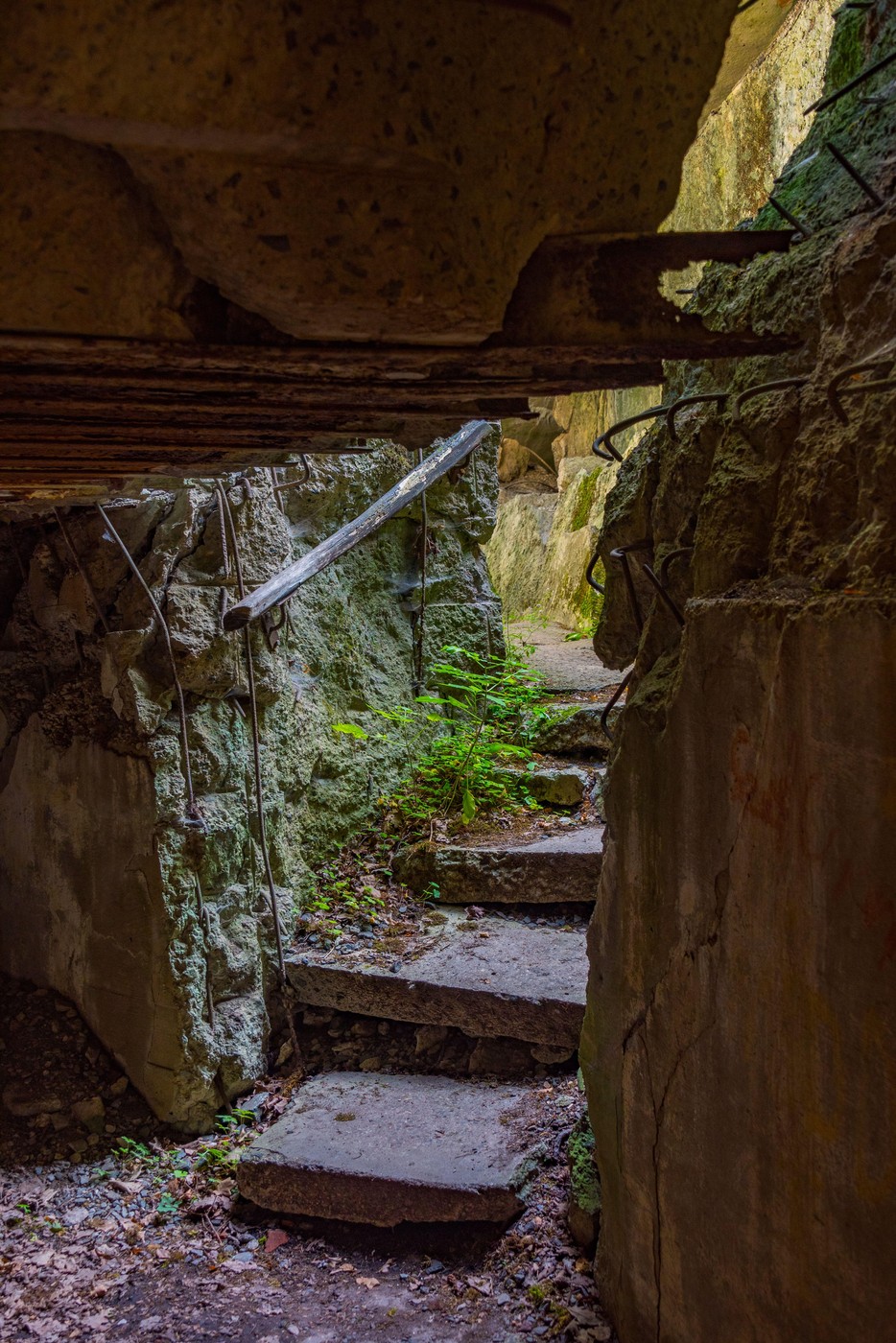 „Vučija jazbina“: Prelepo mesto koje ledi krv u žilama