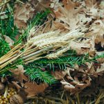 Zašto je česnica u Vojvodini slatka: Sve je iz inata, a mi imamo recept badnjak