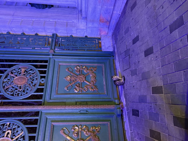 Istanbul, grad koji prede na svakom ćošku