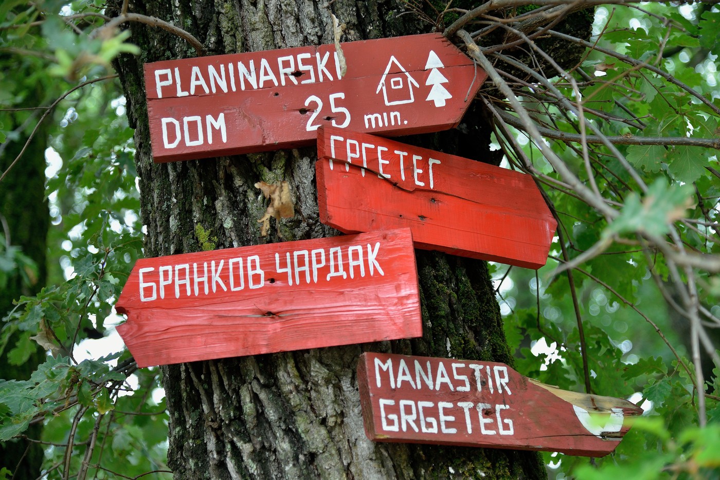 Dva predloga za Sretenjski izlet: Palić i Fruška gora - lagano putovanje kroz Vojvodinu