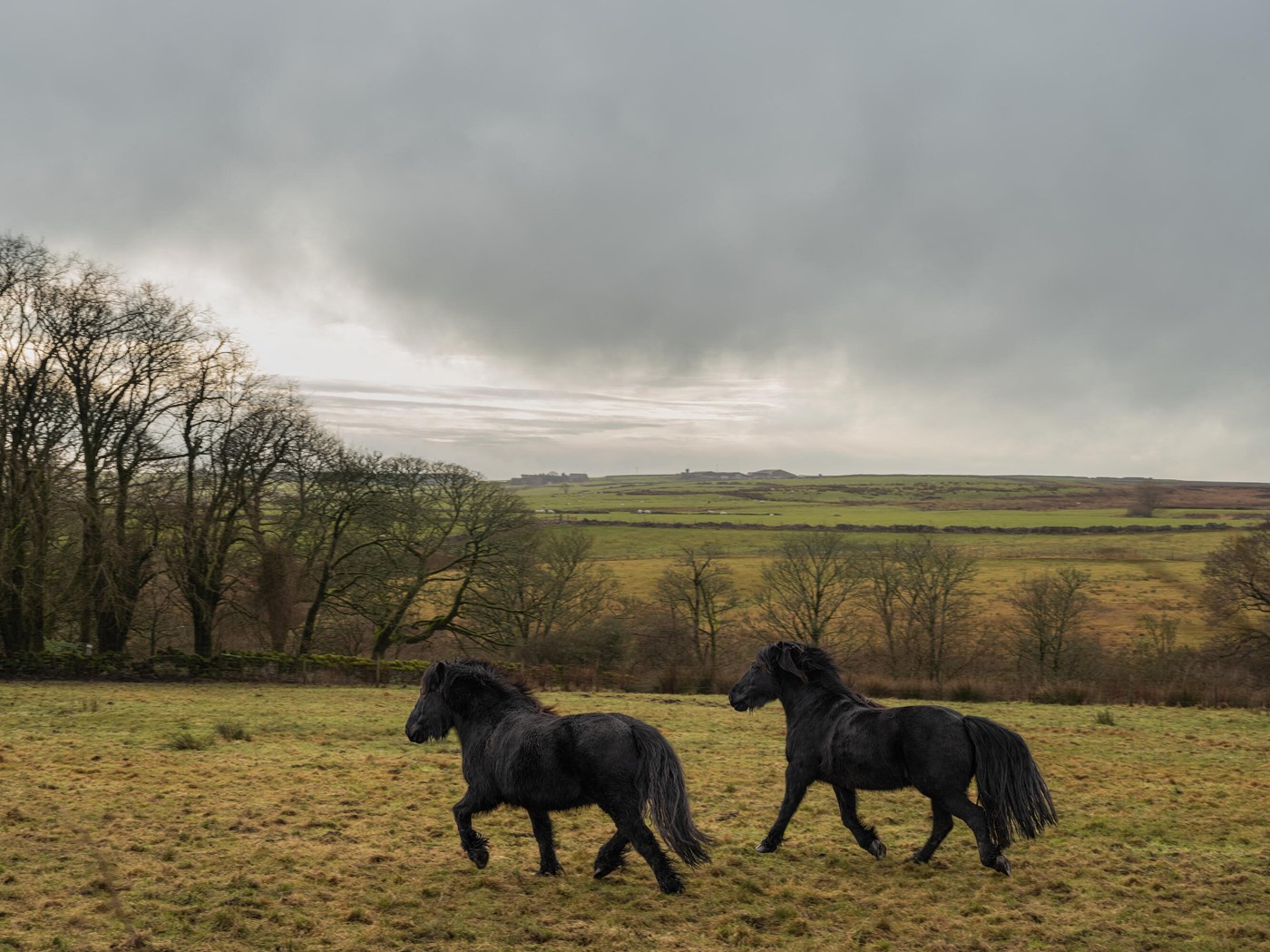 Airbnb ima ponudu iz snova za fanove filma "Orkanski visovi": Spavajte u Ketinoj sobi, i to potpuno besplatno 5 Airbnb ima ponudu iz snova za fanove filma "Orkanski visovi": Spavajte u Ketinoj sobi, i to potpuno besplatno