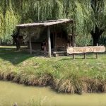 Mali raj prirode nadomak Beograda: Nekad deponija, danas oaza za porodično uživanje