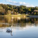 I u Sremu postoje Maldivi: Skriveno jezero koje izgleda kao sa razglednice