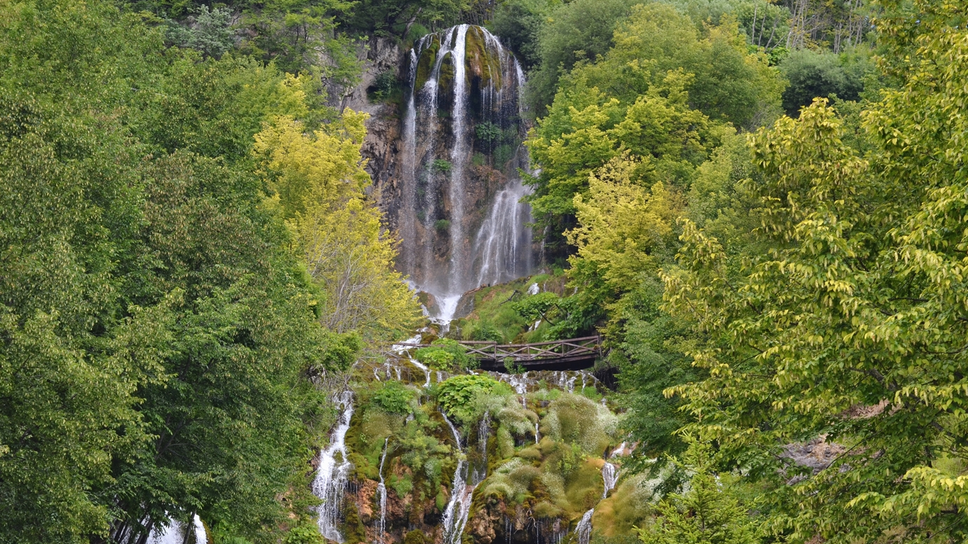 sopotnica