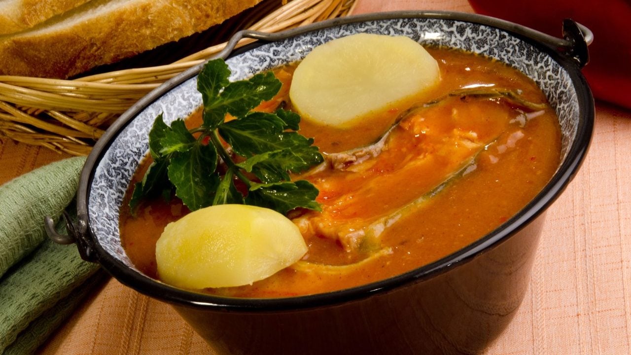 riblja čorba