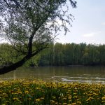 Duh Amazonije na sat vremena od Beograda: Nezaboravna vožnja kajakom kroz srce divlje Vojvodine