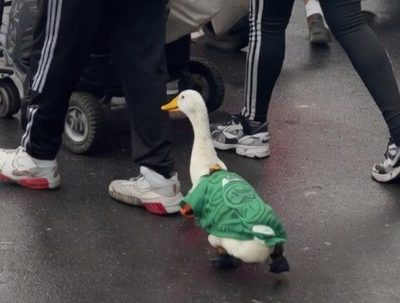 Guska na SP u dresu Meksika postala hit na mrežama