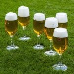 pivo