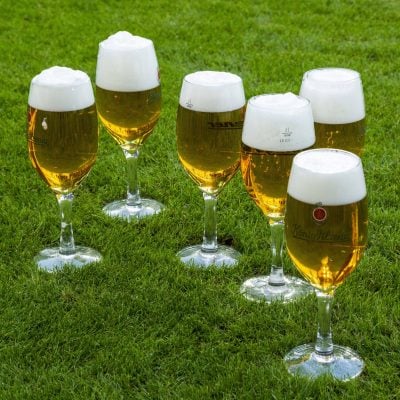 pivo
