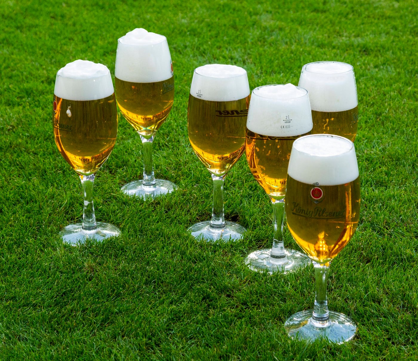 pivo