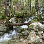 Srbija ima svoj skriveni kanjon koji izgleda kao scena iz filma i skoro niko ne zna za njega
