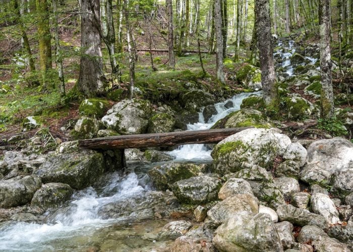 Srbija ima svoj skriveni kanjon koji izgleda kao scena iz filma i skoro niko ne zna za njega