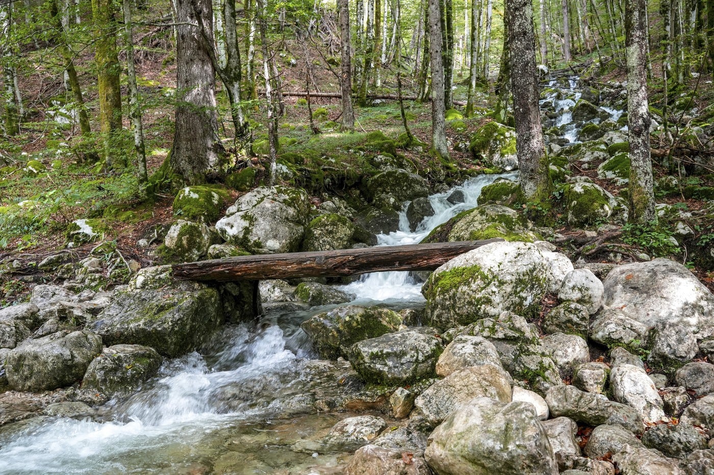 Srbija ima svoj skriveni kanjon koji izgleda kao scena iz filma i skoro niko ne zna za njega
