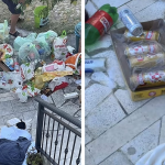 Hrvatica snimila šta su joj Englezi napravili od vile na Jadranu: "Oni su najgori gosti na svetu"