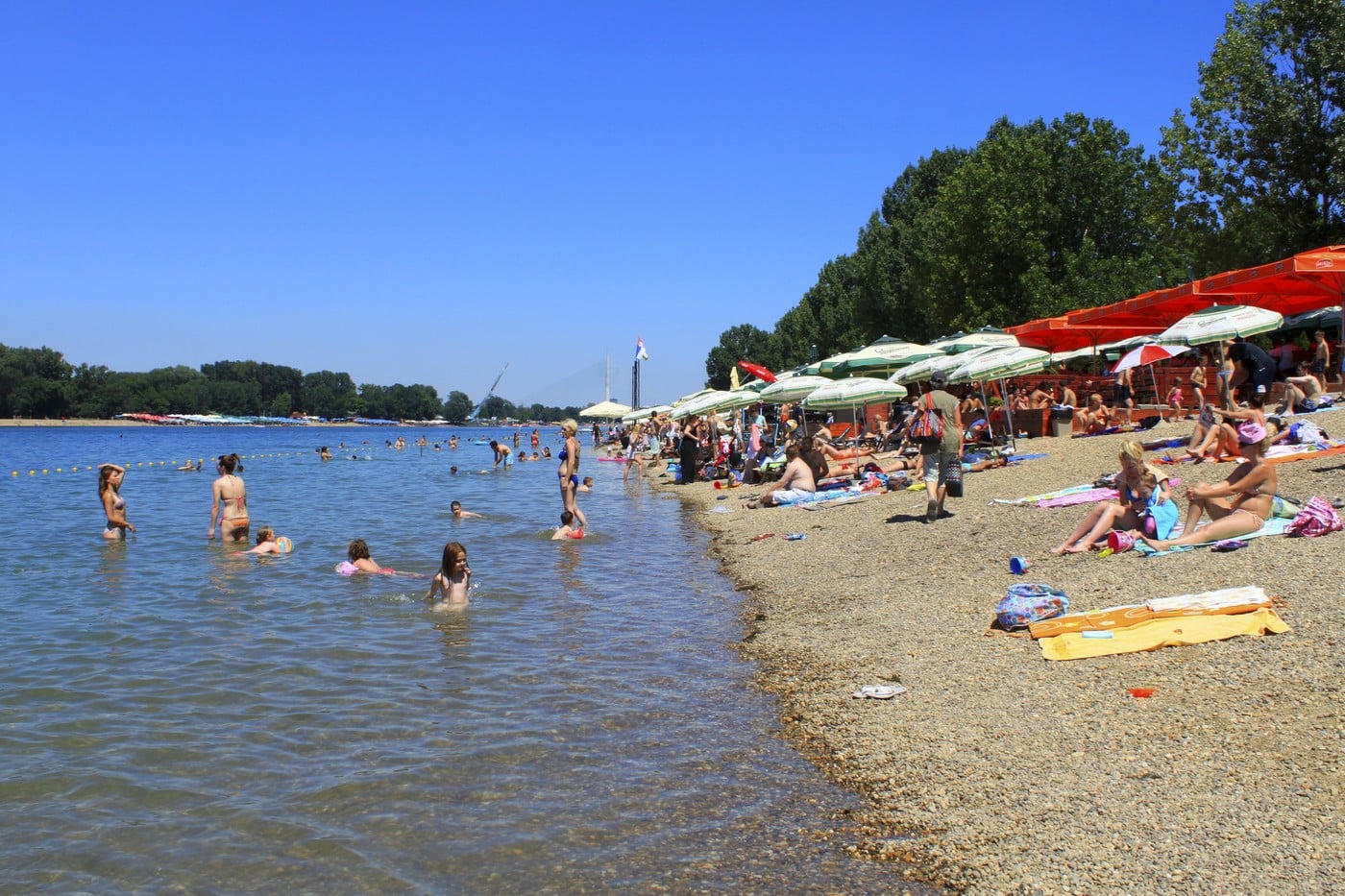 "Srpski Brioni": Na sat vremena od Beogrda čeka vas najlepša plaža na Savi