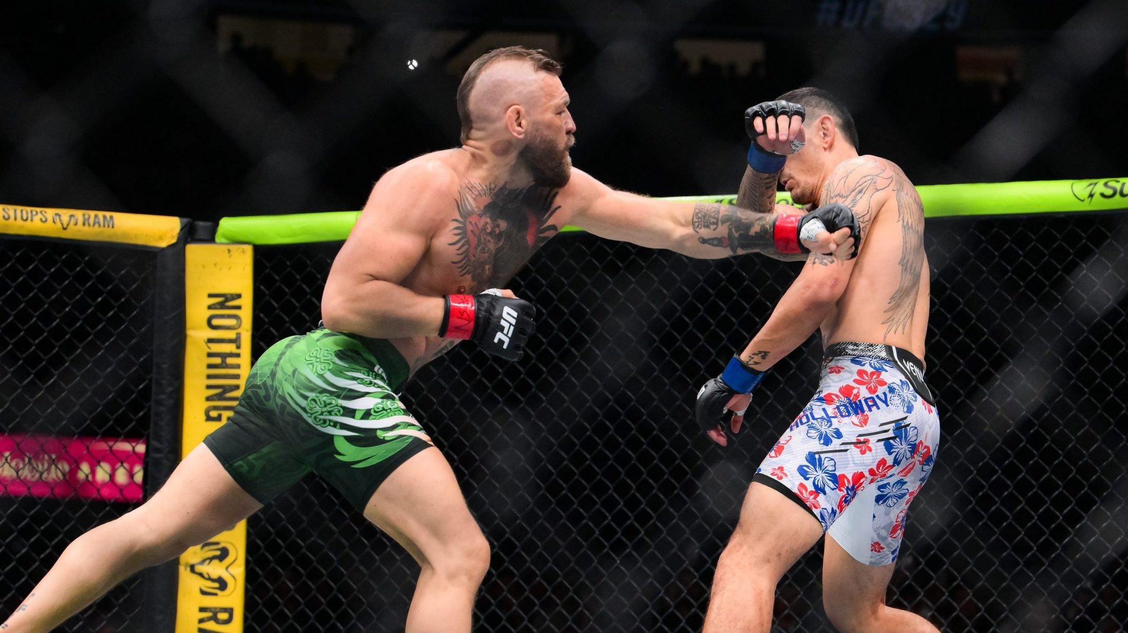 konor mekgregor